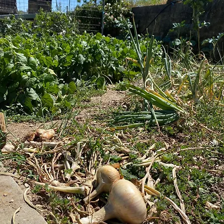 Landhaus Quinta Do Azibo *